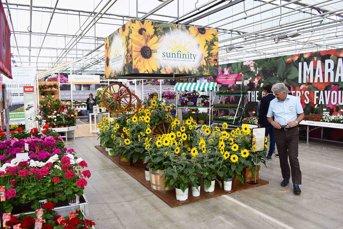 Isole scenografiche personalizzate