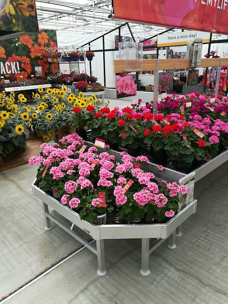 FlowerTrials 2018