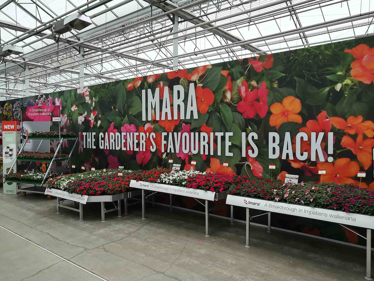 Communication graphics