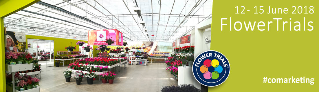 Das Co-Marketing zwischen Orlandelli und Syngenta wird neue Sorten und neue Display-Konzepte für Pflanzen und Blumen präsentieren.