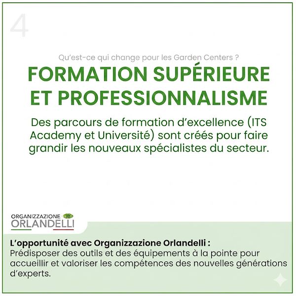 La mise en place de programmes de formation de haut niveau apporte un nouveau souffle et un grand professionnalisme au secteur.