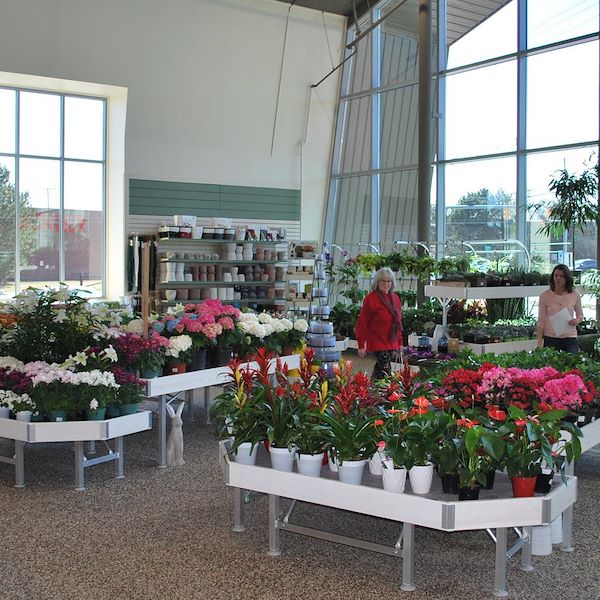 تعيين الترويج  خط الخشب أمور