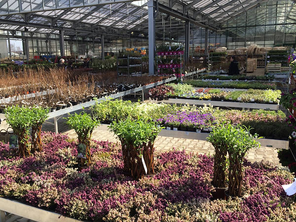 Garden Center - external area