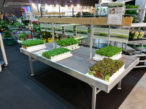 Garden Center Identity - Supermarket Concept