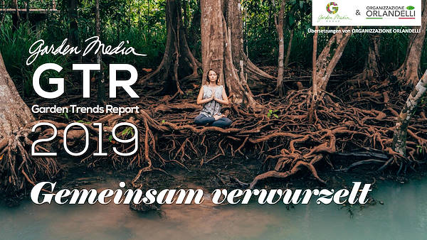 Pag 1 / 49 - GTR 2019