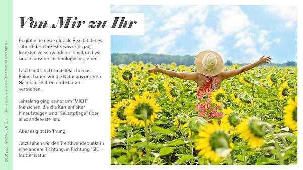 Pag 5 / 49 - GTR 2019