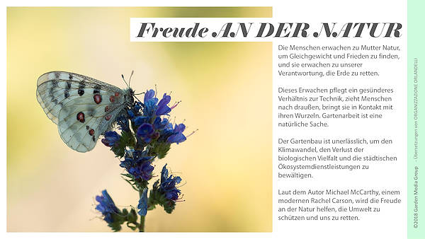 Pag 6 / 49 - GTR 2019