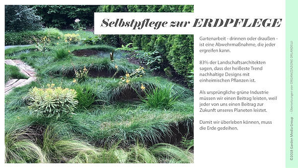 Pag 8 / 49 - GTR 2019