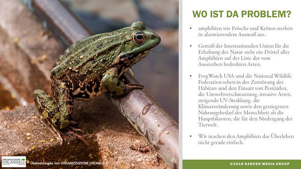 Garden Trends 2020 Report - Dritter Teil