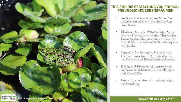 Garden Trends 2020 Report - Dritter Teil