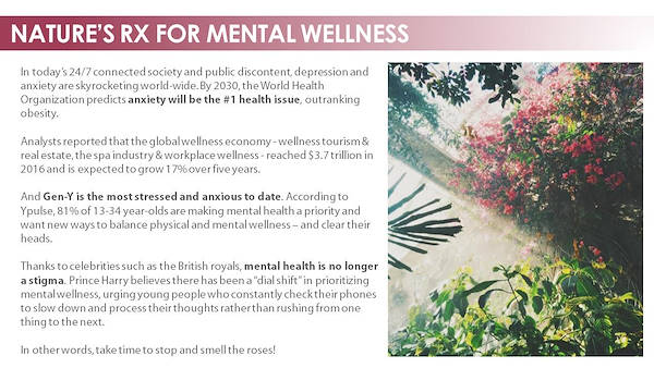 Garden Trends Report 2018 - part one