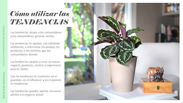 Pag 2 / 49 - GTR 2019