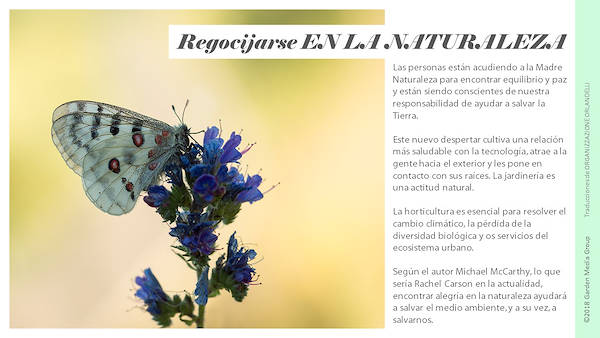 Pag 6 / 49 - GTR 2019