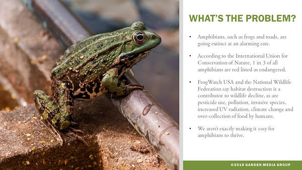 Garden trends report 2020 - Part three