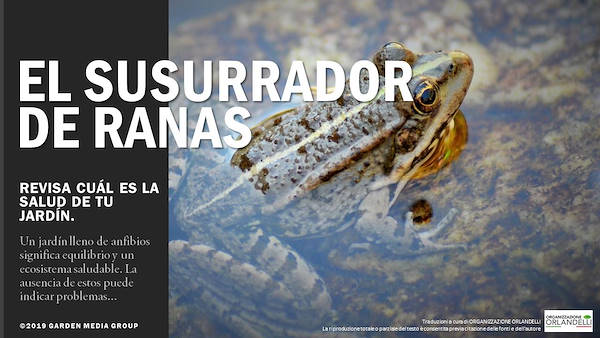 Garden Trends Report 2020 -  Tercera parte