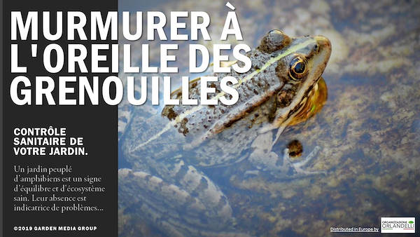 GARDEN TRENDS REPORT 2020- Troisième partie