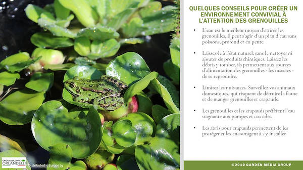 GARDEN TRENDS REPORT 2020- Troisième partie