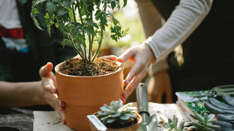 Combler le fossé - pag. 20