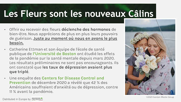 Garden Trends Report - Partie Trois