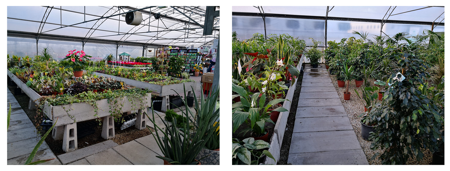 Before the restyling the spaces were overcrowded and poorly distributed. The stands for the display were decidedly dated, unattractive and even less functional