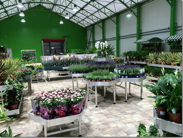 Glissando Garden Center: fornitura di bancali ed accessori a Timisoara
