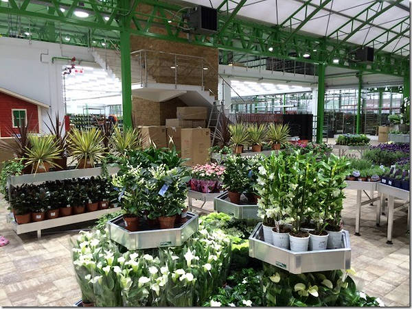 Glissando Garden Center: fornitura di bancali ed accessori a Timisoara