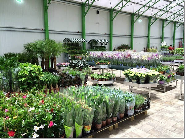Glissando Garden Center: fornitura di bancali ed accessori a Timisoara