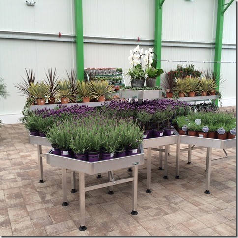 Glissando Garden Center: fornitura di bancali ed accessori a Timisoara