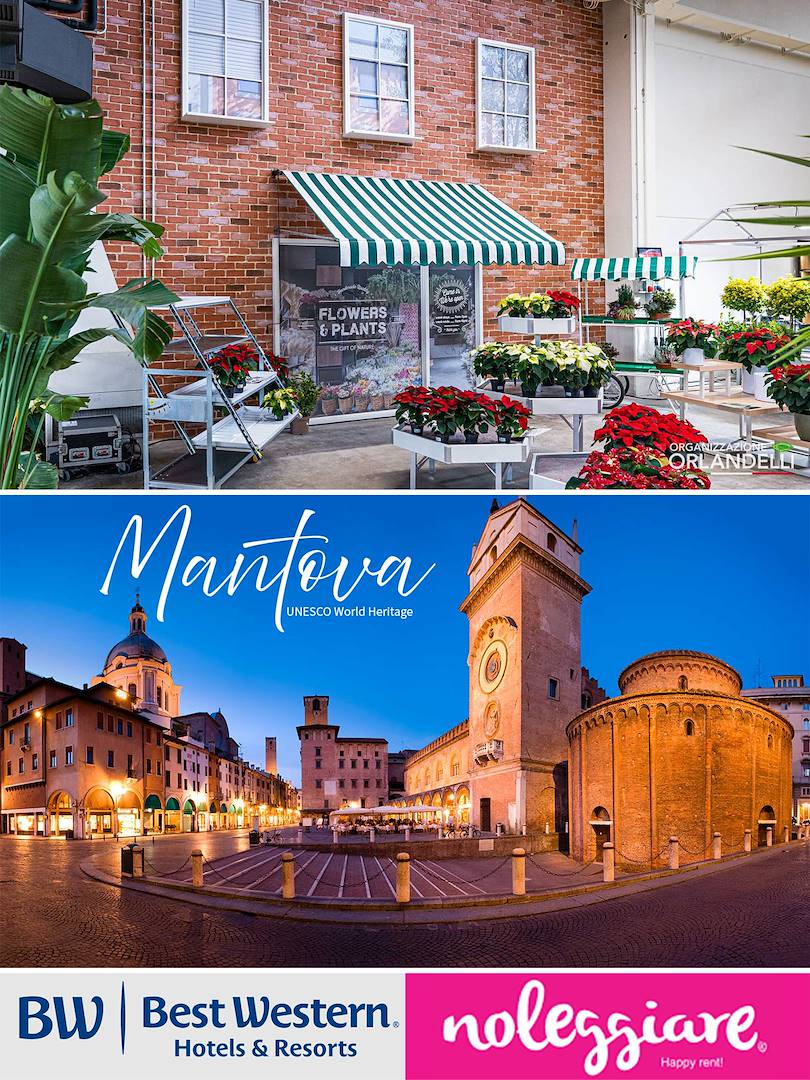 Pianifica il futuro del tuo punto vendita con noi: visita il nostro showroom a Mantova