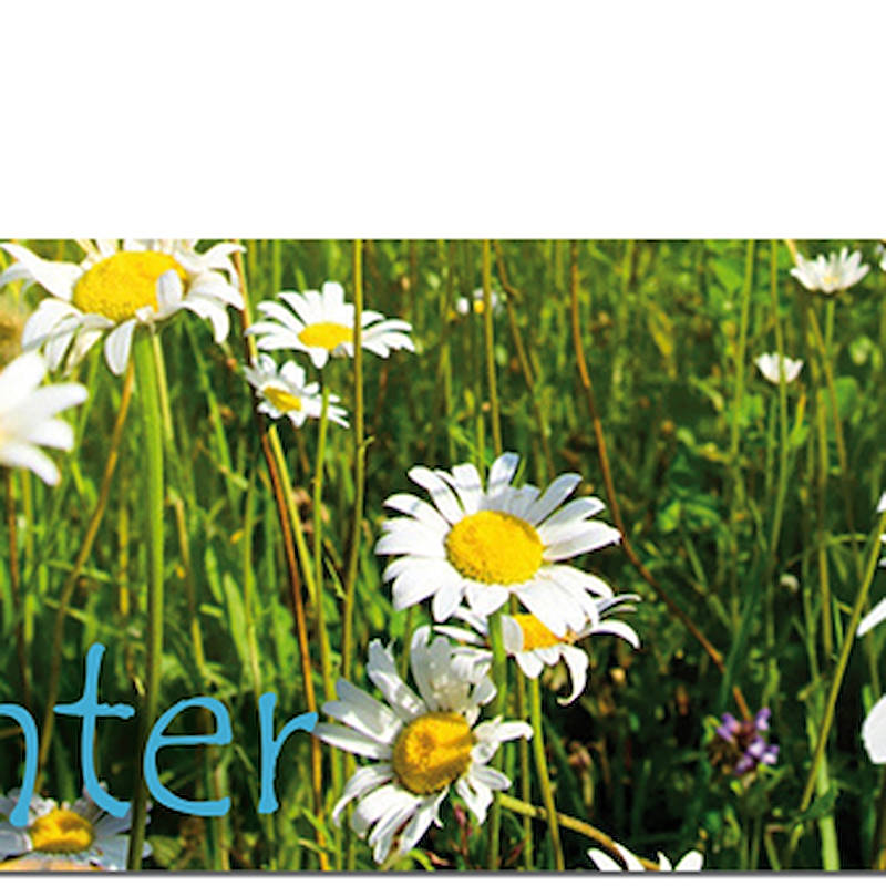 حامل رسومي لعربة كابريوليه