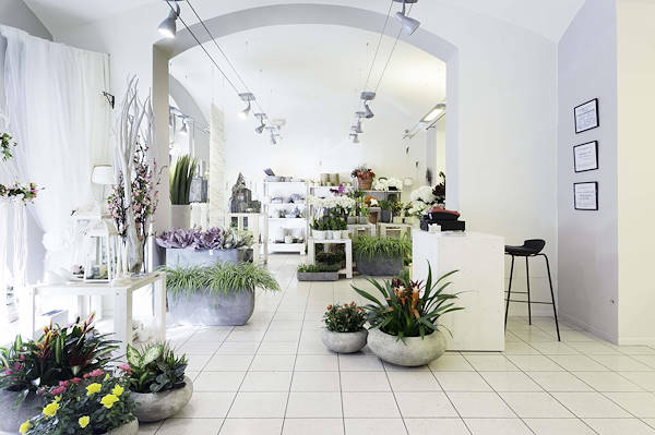 Green Garden, the new flower boutique