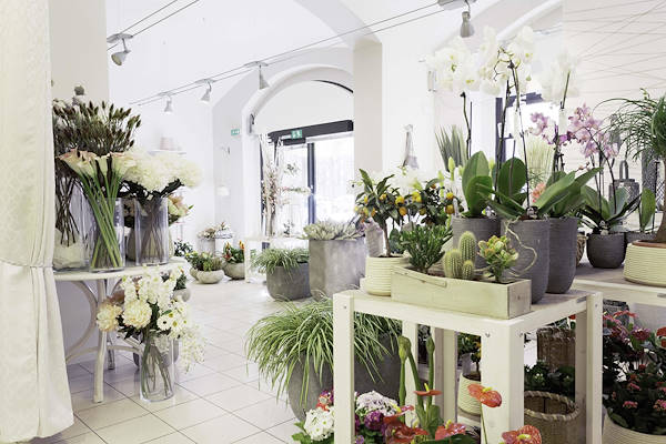 Green Garden, the new flower boutique