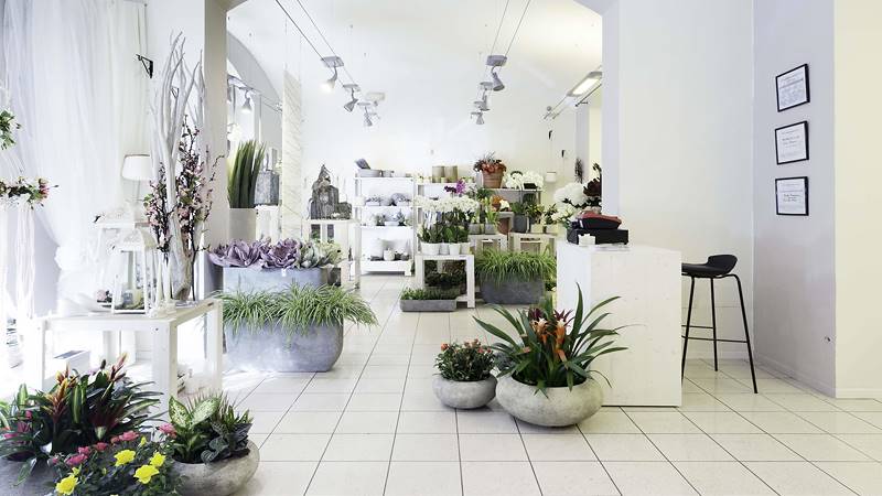 Green Garden, la nuova boutique del verde