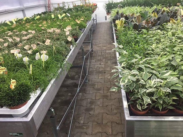 Greenville si rinnova con i bancali mobili da produzione