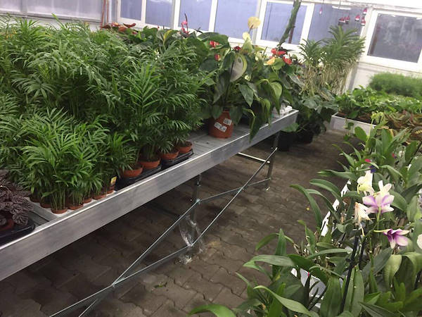 Greenville si rinnova con i bancali mobili da produzione