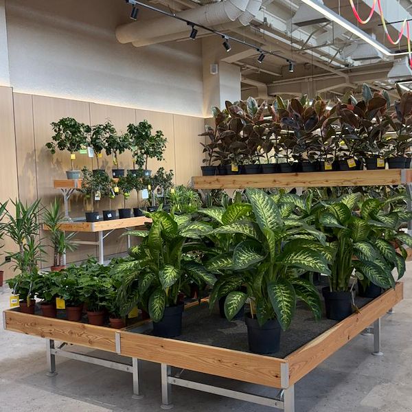 Gurt Flora wählt die Möbel von Orlandelli für seinen imposanten Store in Kiew