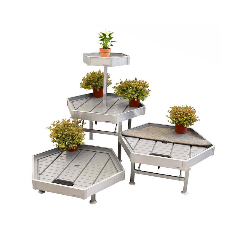 Hexagonal Display Set