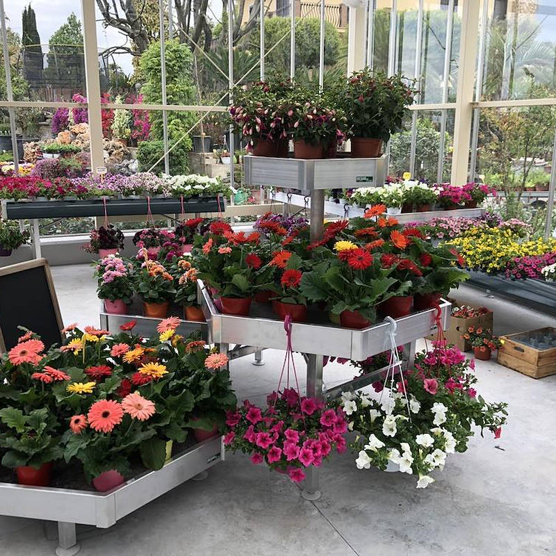 سداسية العرض