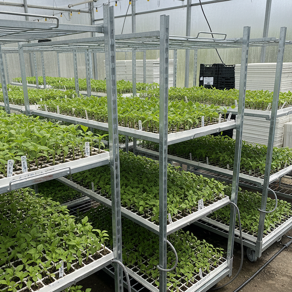 HortiPro Gitterwagen