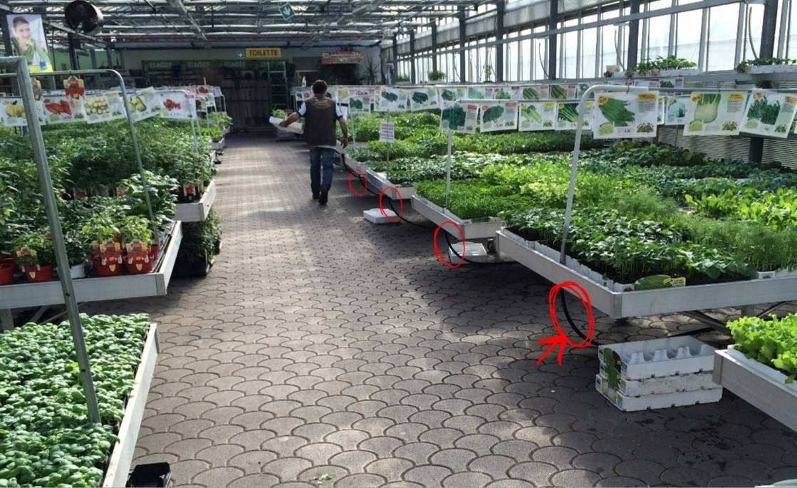 How to manage the irrigation of flowers and plants in a retail store 