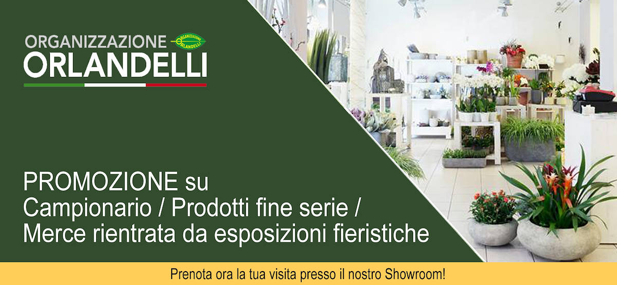 I fioristi ora possono esporre fuori dal locale