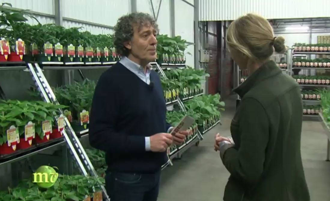 I prodotti di Orlandelli a Melaverde