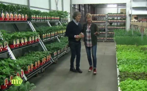 I prodotti di Orlandelli a Melaverde