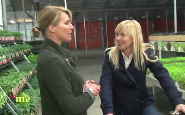 I prodotti di Orlandelli a Melaverde