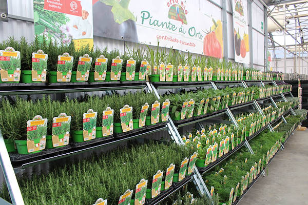 I prodotti di Orlandelli a Melaverde