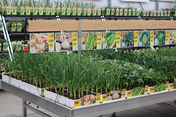 I prodotti di Orlandelli a Melaverde