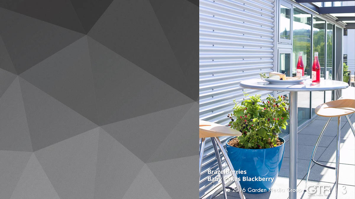 I trend 2017 del settore Garden