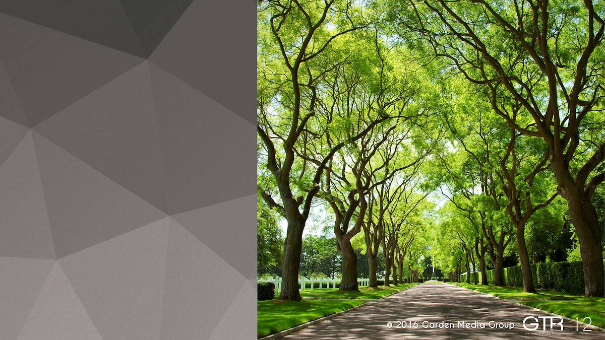 I trend 2017 del settore Garden