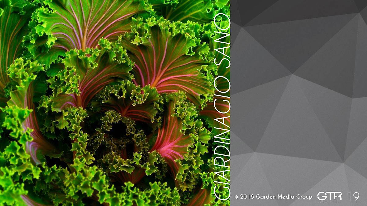 I trend 2017 del settore Garden