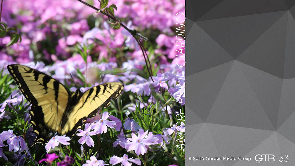 I trend 2017 del settore Garden